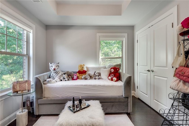 bedroom featuring multiple windows, a tray ceiling, and a closet