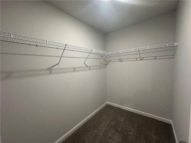 15 Fontana Ct, Covington, GA 30016 - walk in closet with dark colored carpet