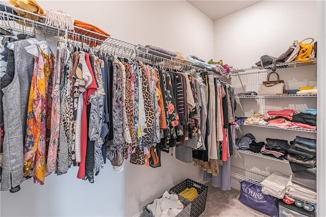 spacious closet with carpet