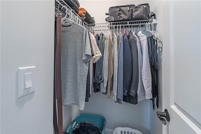 view of spacious closet