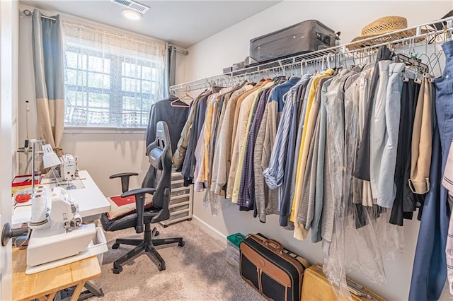 spacious closet with carpet