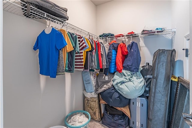 view of spacious closet