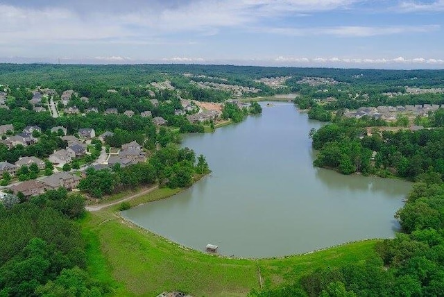 bird's eye view of a large body of water