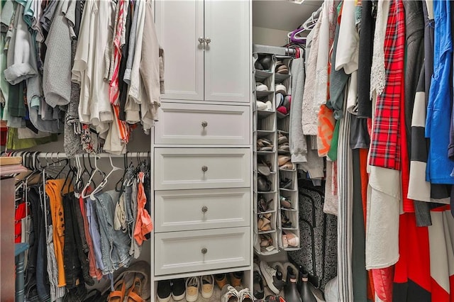 view of spacious closet