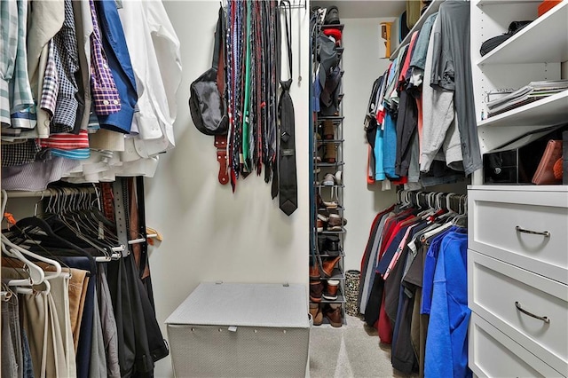 spacious closet featuring carpet