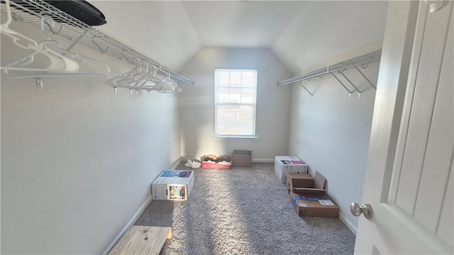 walk in closet featuring lofted ceiling and carpet