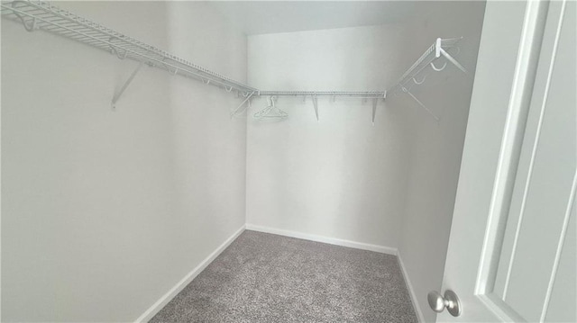 spacious closet with carpet