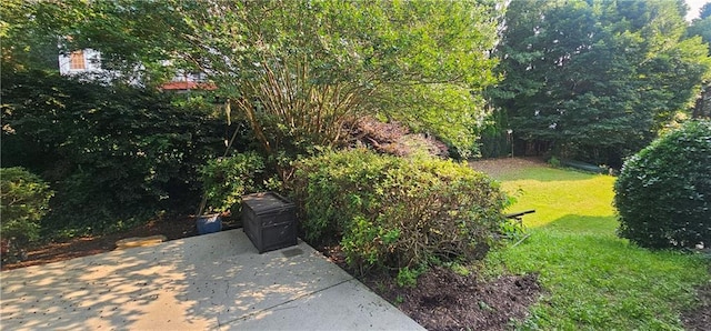 4230 Glen Vista Ct, Duluth, GA 30097 - view of grassy yard featuring a patio