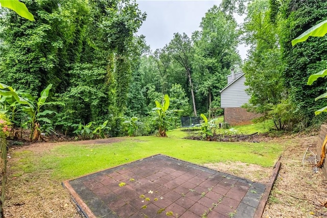 1966 Briarwood Dr, Gainesville, GA 30501 - view of green lawn with a patio