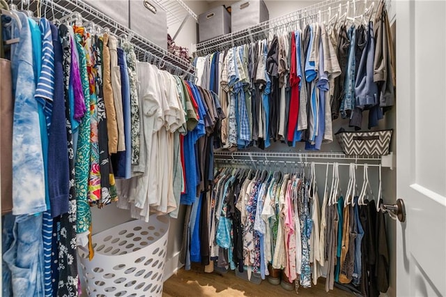 walk in closet with wood-type flooring