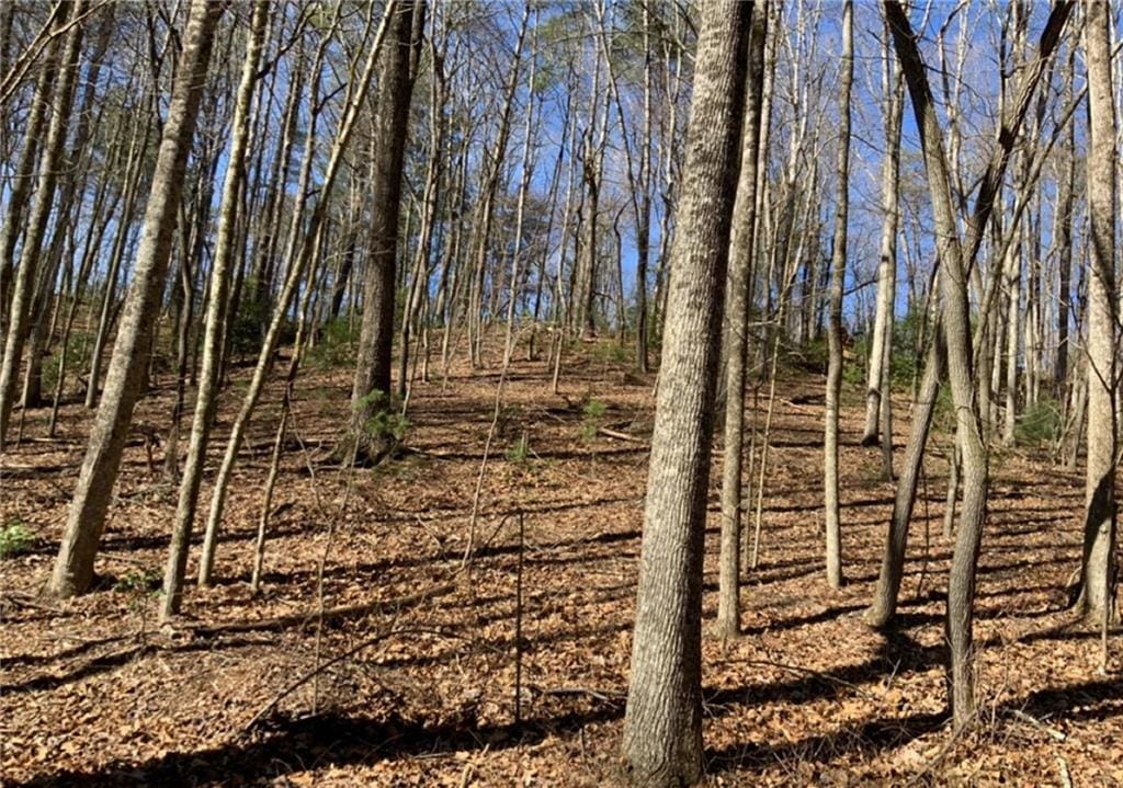 0 Walhalla Ct, Ellijay, GA 30540