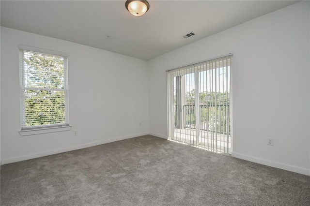 unfurnished room featuring a wealth of natural light and carpet flooring