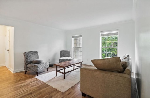 living area featuring wood-type flooring