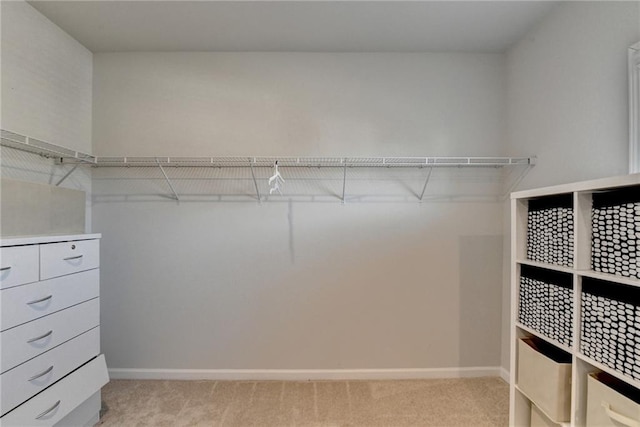 spacious closet with light colored carpet