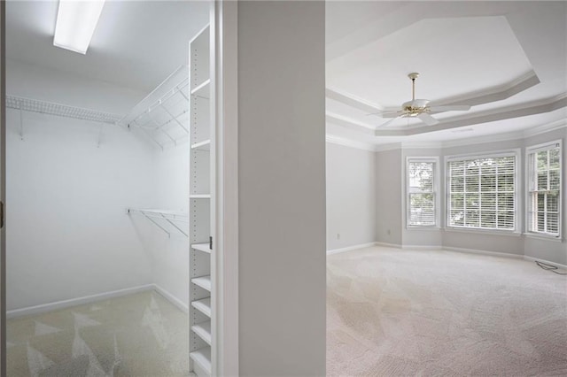 963 Bolingbrook Dr SW, Marietta, GA 30064 - walk in closet featuring carpet floors, a ceiling fan, and a tray ceiling