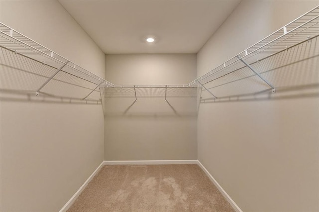 walk in closet featuring carpet floors