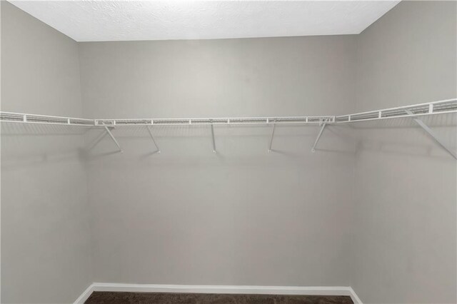 1011 Riverclift Dr, Covington, GA 30016 - spacious closet with dark carpet