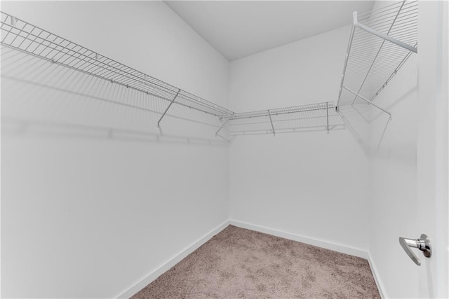 spacious closet with light colored carpet