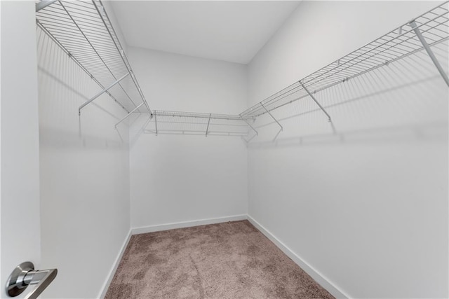 spacious closet featuring light carpet