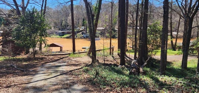 0 Collins Rd, Jackson, GA 30233