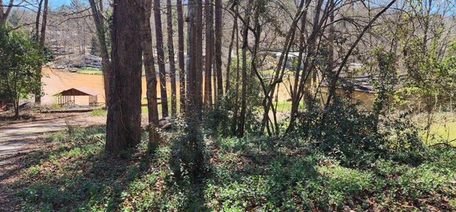 0 Collins Rd, Jackson, GA 30233
