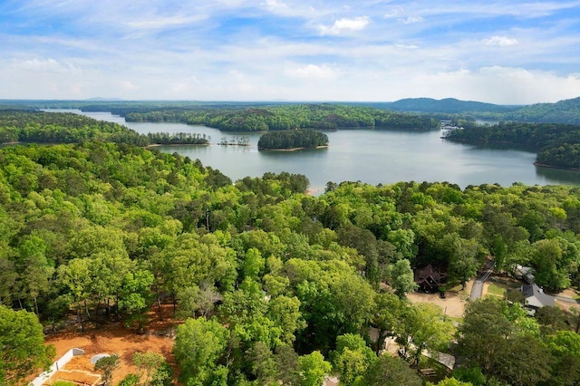 15 Swallow Dr SE, White, GA 30184 - aerial view of a nearby body of water and a forest
