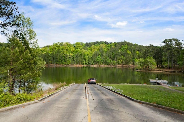 15 Swallow Dr SE, White, GA 30184 - dock area with a water view and a wooded view