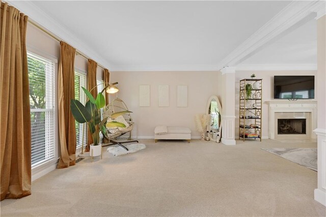 unfurnished room featuring crown molding and light carpet