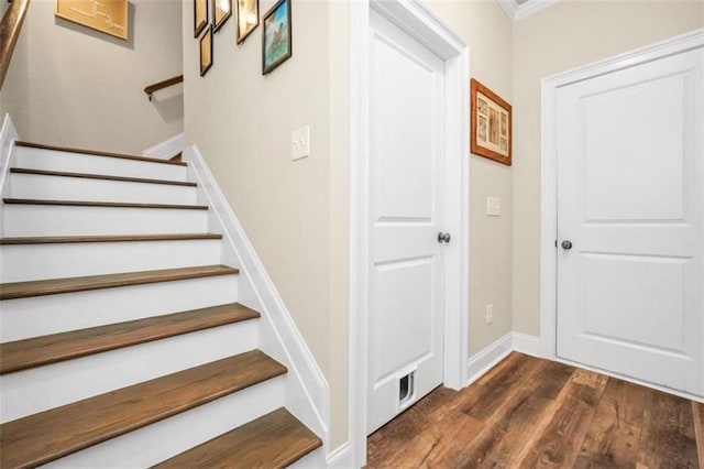 210 Riverpoint Way, Jackson, GA 30233 - staircase with wood finished floors, baseboards, and ornamental molding