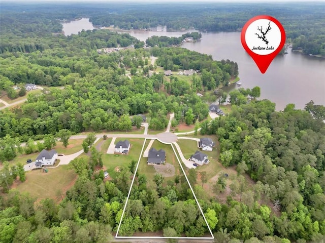 210 Riverpoint Way, Jackson, GA 30233 - aerial overview of property's location featuring a forest, a large body of water, and property parcel outlined