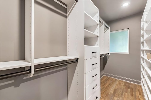 spacious closet featuring light hardwood / wood-style floors