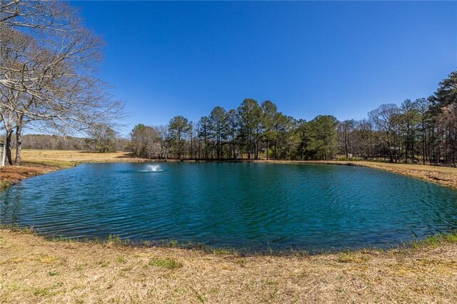 96 Sam Alexander Rd, Douglasville, GA 30134 - water view