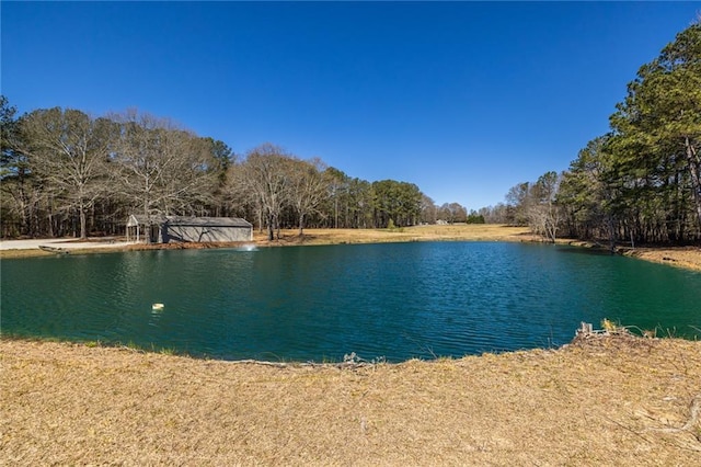 96 Sam Alexander Rd, Douglasville, GA 30134 - property view of water