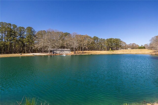 96 Sam Alexander Rd, Douglasville, GA 30134 - water view