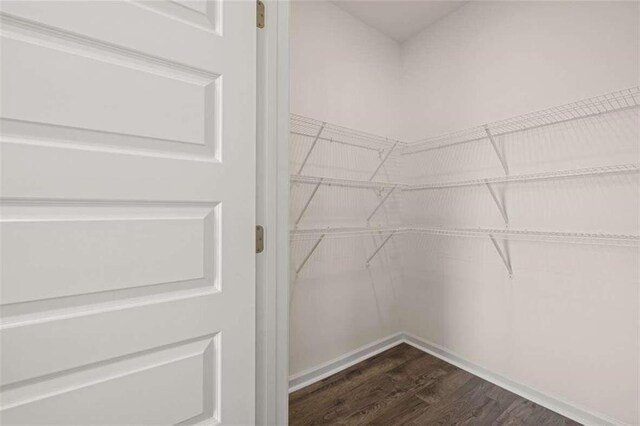 spacious closet with dark wood-type flooring