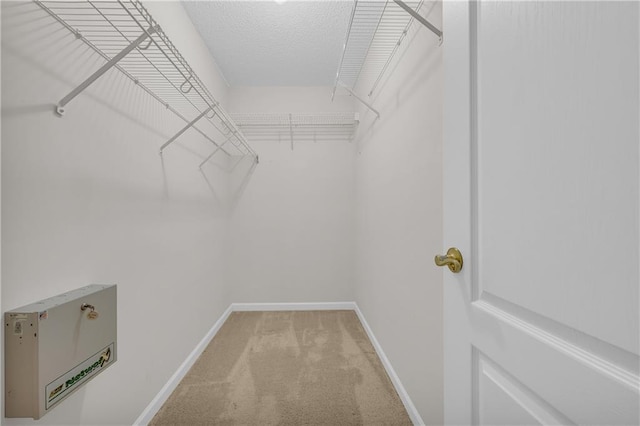 walk in closet featuring carpet