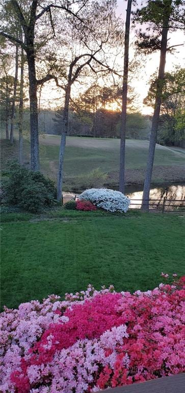 12162 Mountain Laurel Dr, Roswell, GA 30075 - view of grassy yard