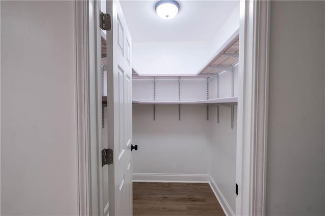 walk in closet featuring dark wood-type flooring