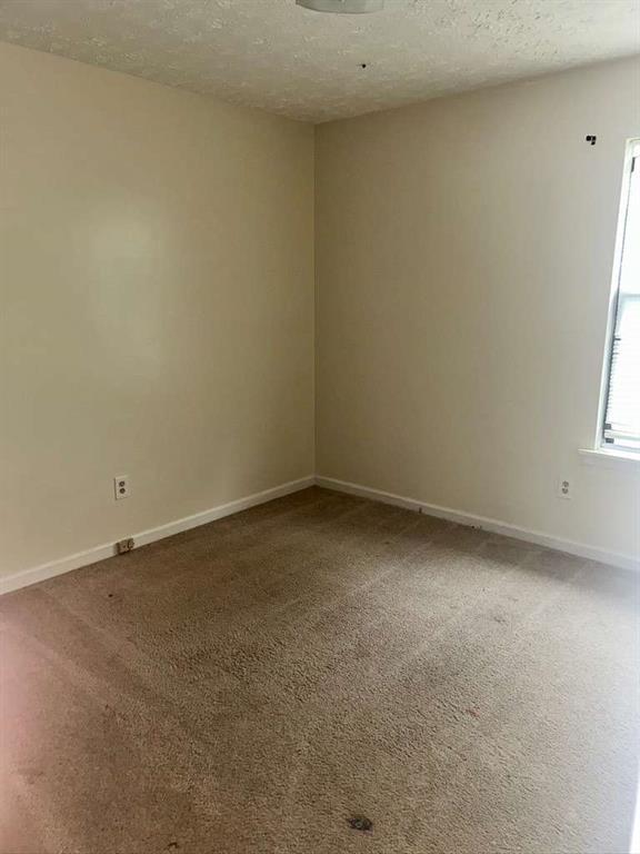 carpeted spare room with baseboards and a textured ceiling