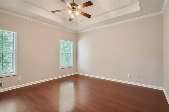 spare room with a tray ceiling, crown molding, and a healthy amount of sunlight