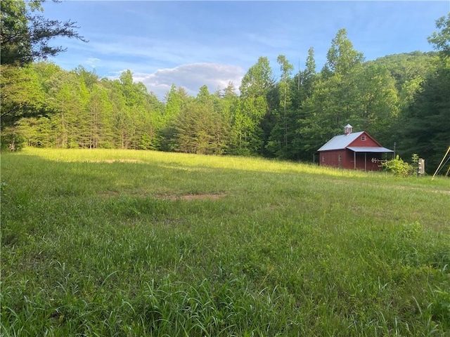 view of yard featuring a detached garage and a wooded view