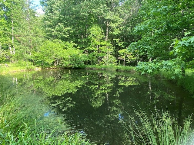 view of nature featuring a water view and a wooded view