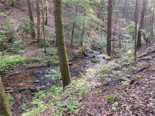 view of nature with a view of trees