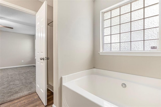 7420 Bristol Cir, Douglasville, GA 30134 - bathroom with a bath and wood finished floors