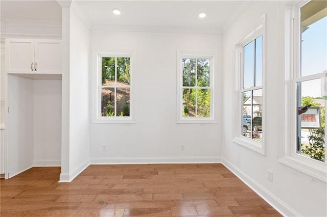 spare room featuring a healthy amount of sunlight, light wood finished floors, and baseboards