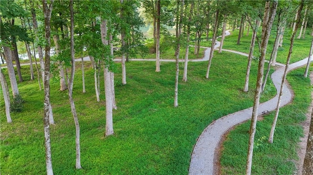 surrounding community featuring driveway