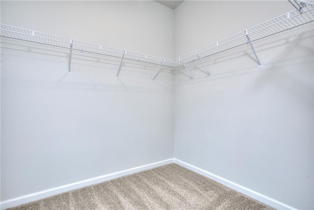 115 Greenview Ct, Homer, GA 30547 - walk in closet with carpet floors