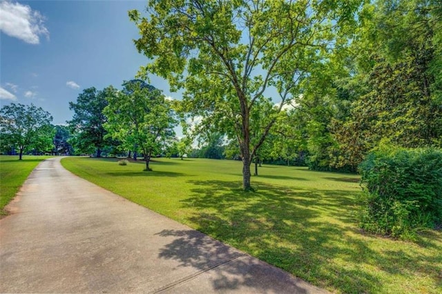 view of home's community with a lawn