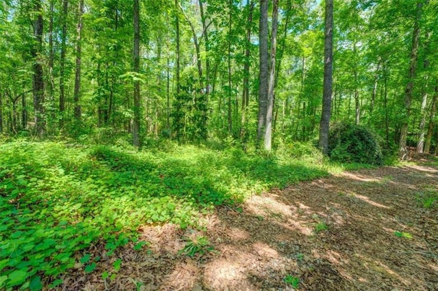 view of nature with a wooded view