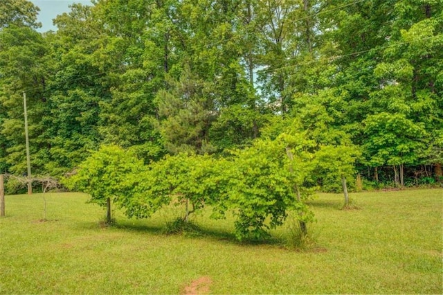 500 Cochran Rd, Covington, GA 30014 - view of grassy yard